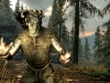 1394ArgonianMale